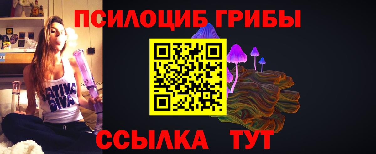 Галлюциногенные грибы мицелий Саянск