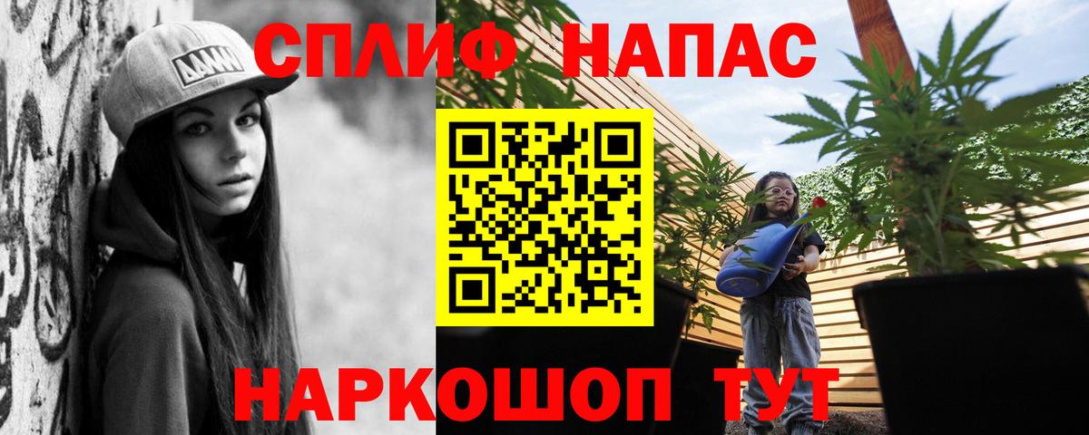 Саянск  Бошки Шишки план  Бошки марихуана индика  Вход с VPN  Шишки марихуана конопля 